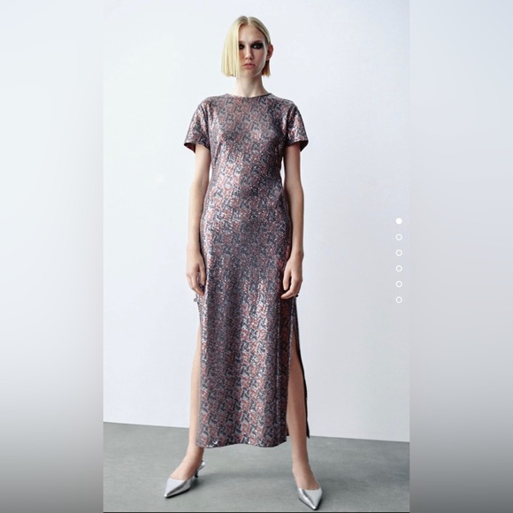 Zara Dress - Picture 2 of 7
